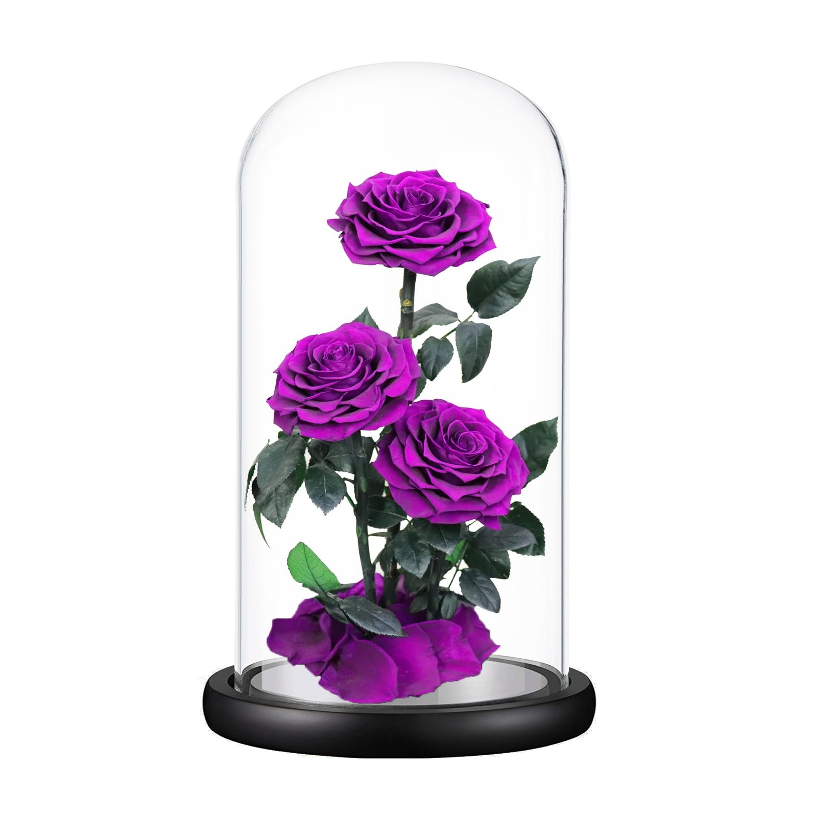 Purple Roses Handmade Rose in Glass Dome, Preserved Flowers Never Withered, B…