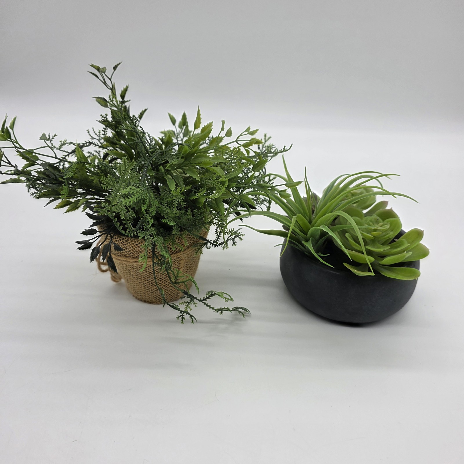 Set of 2 Artificial Potted Plants Faux Greenery Succulent & Fern Home Decor