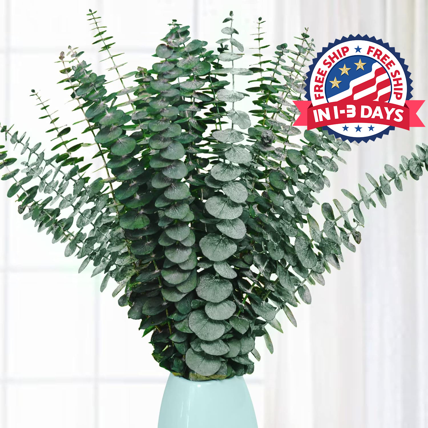 20 tallos de eucalipto secos preservados para Decoración de ducha,Florero Hogar