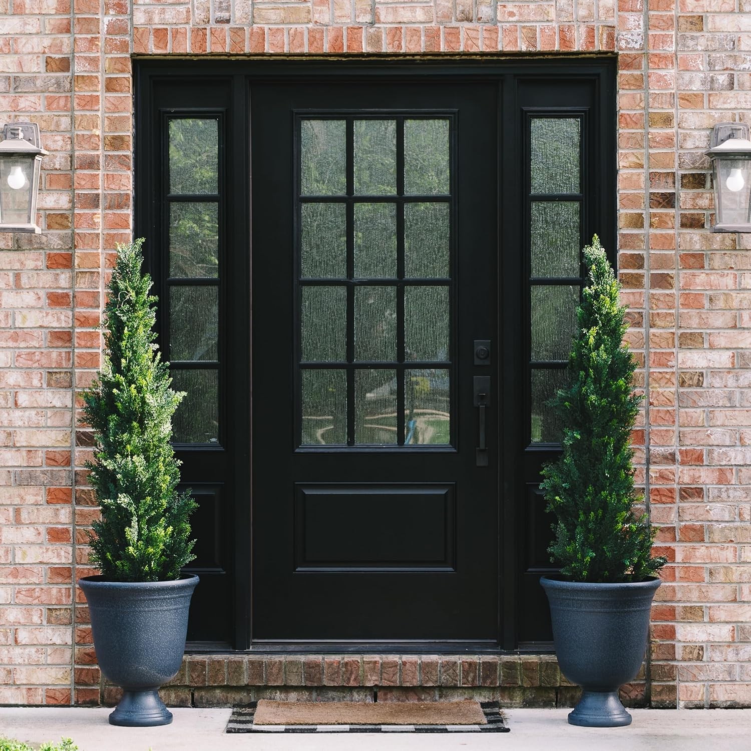 Pair of Pre-Potted Cedar Trees – Front Door & Garden Decor