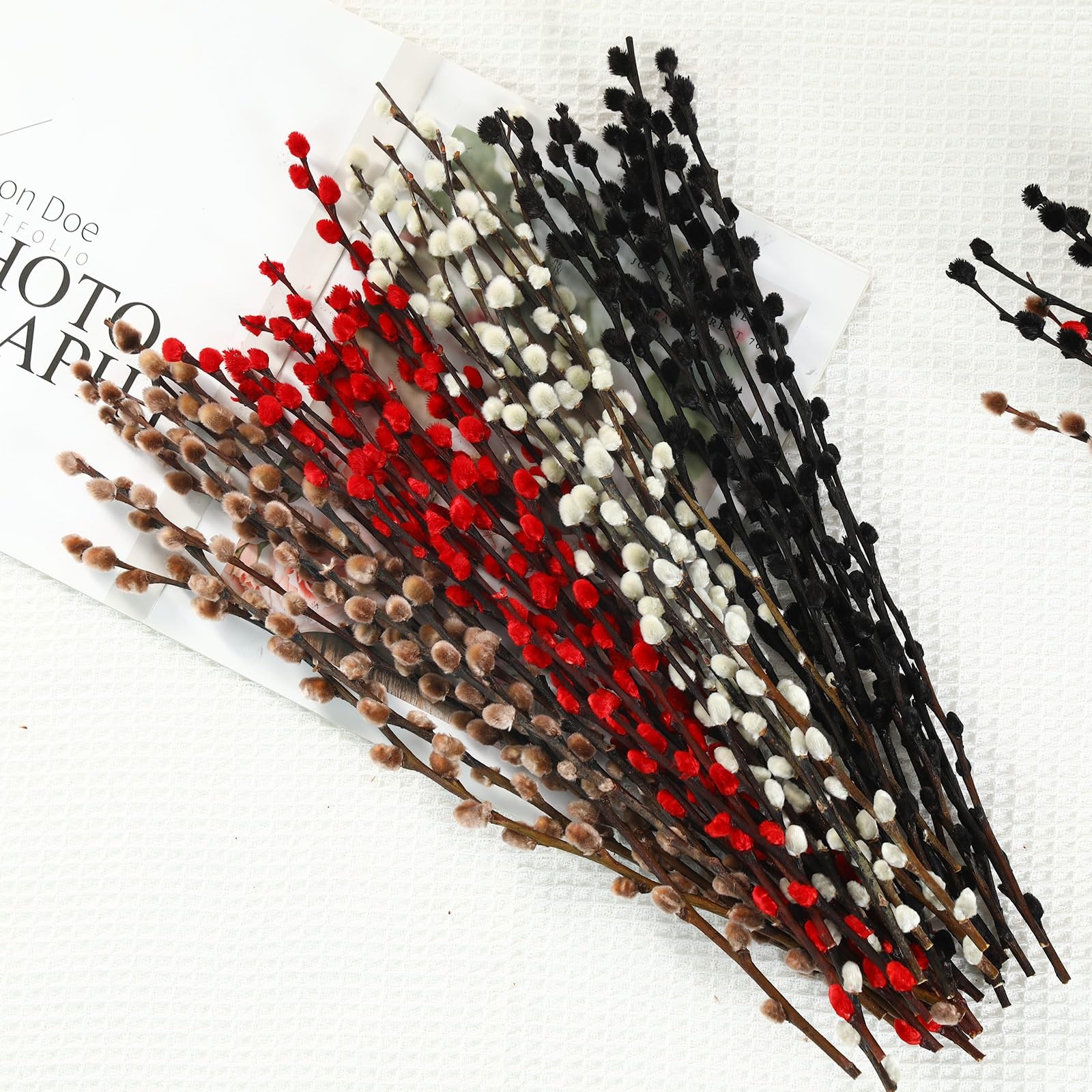 Natural Preserved Dried PussyWillow Branches for Vases, 20 Stems Real Willows…