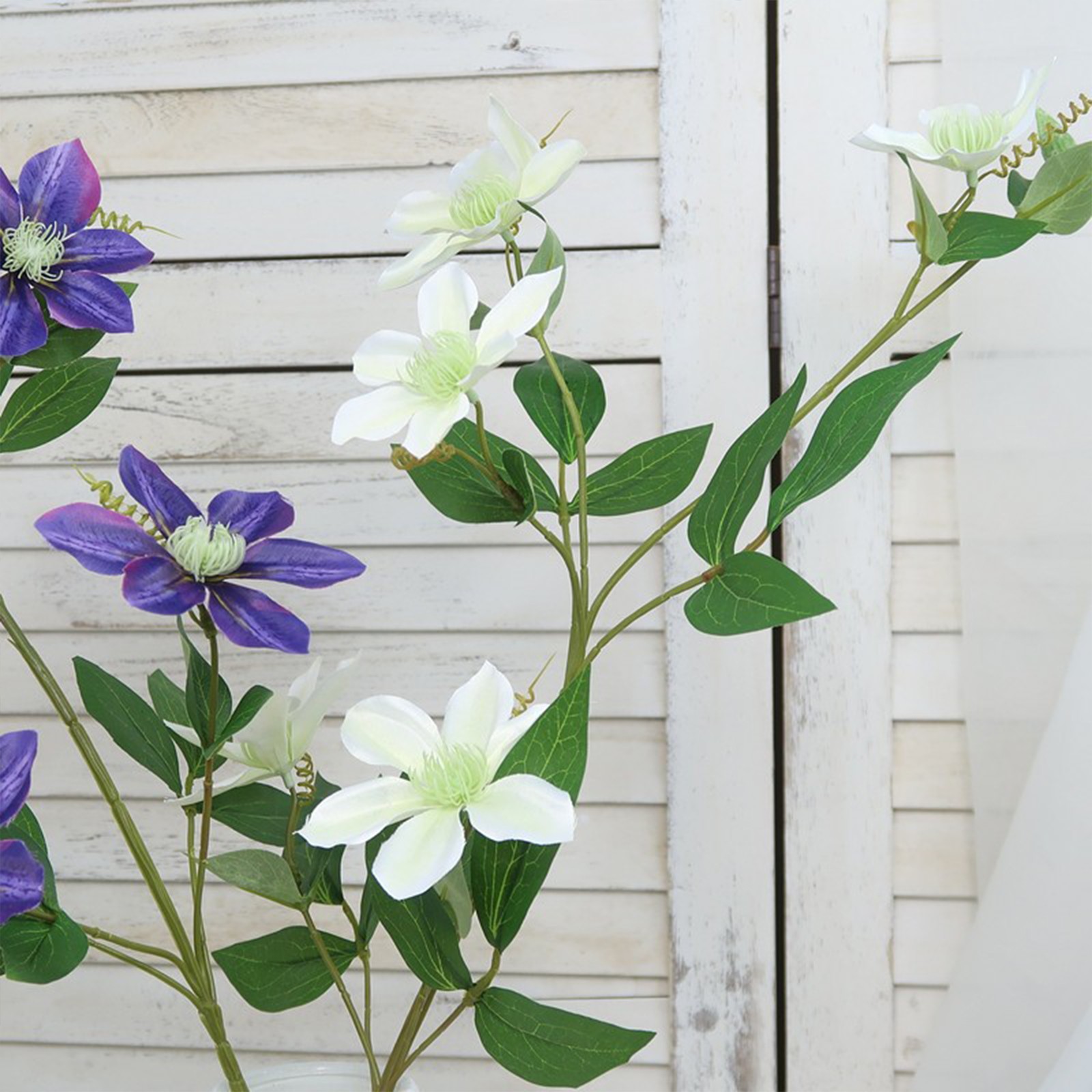 New European-style 5-headed Clematis – Deep Purple 85cm Tall Per Stem HOT