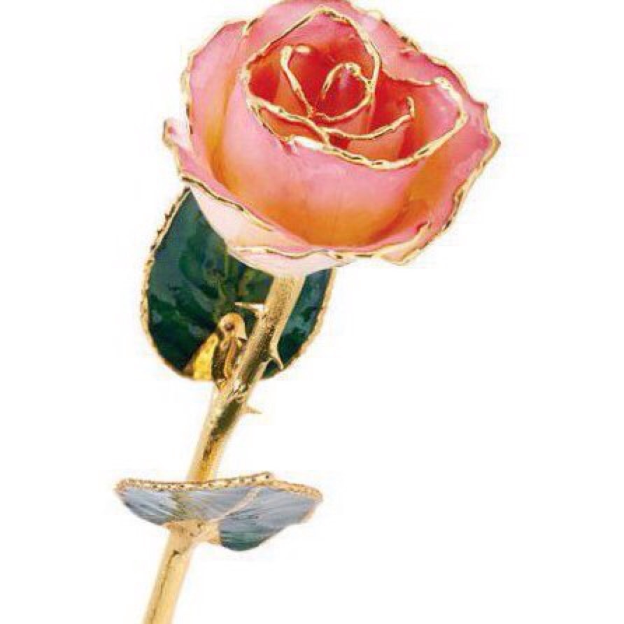 24K Yellow Gold Trimmed White Rose April Diamond White Real Long Stem Rose