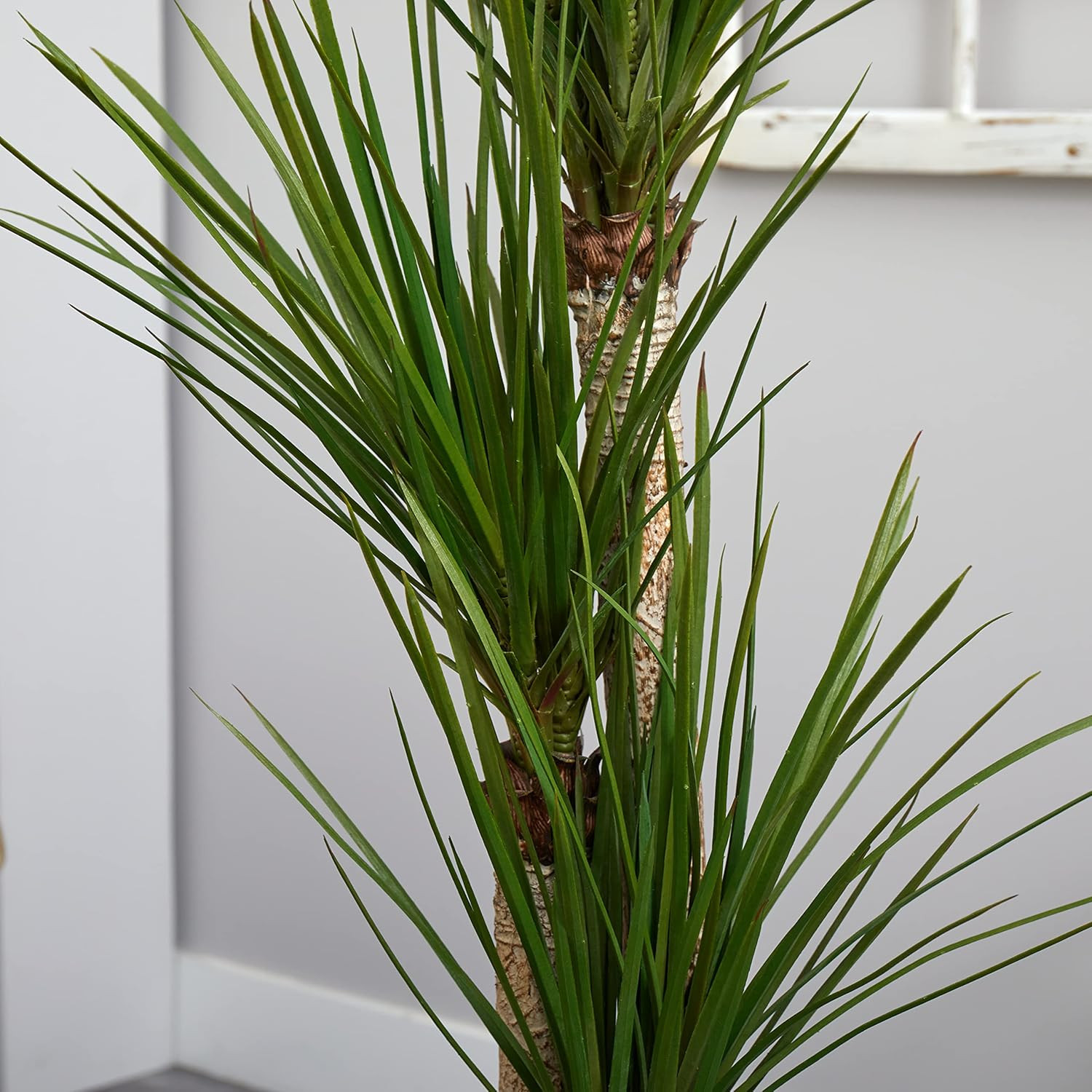5.5Ft Triple Stalk Yucca Plant in Stylish Slate Planter for Home Decor