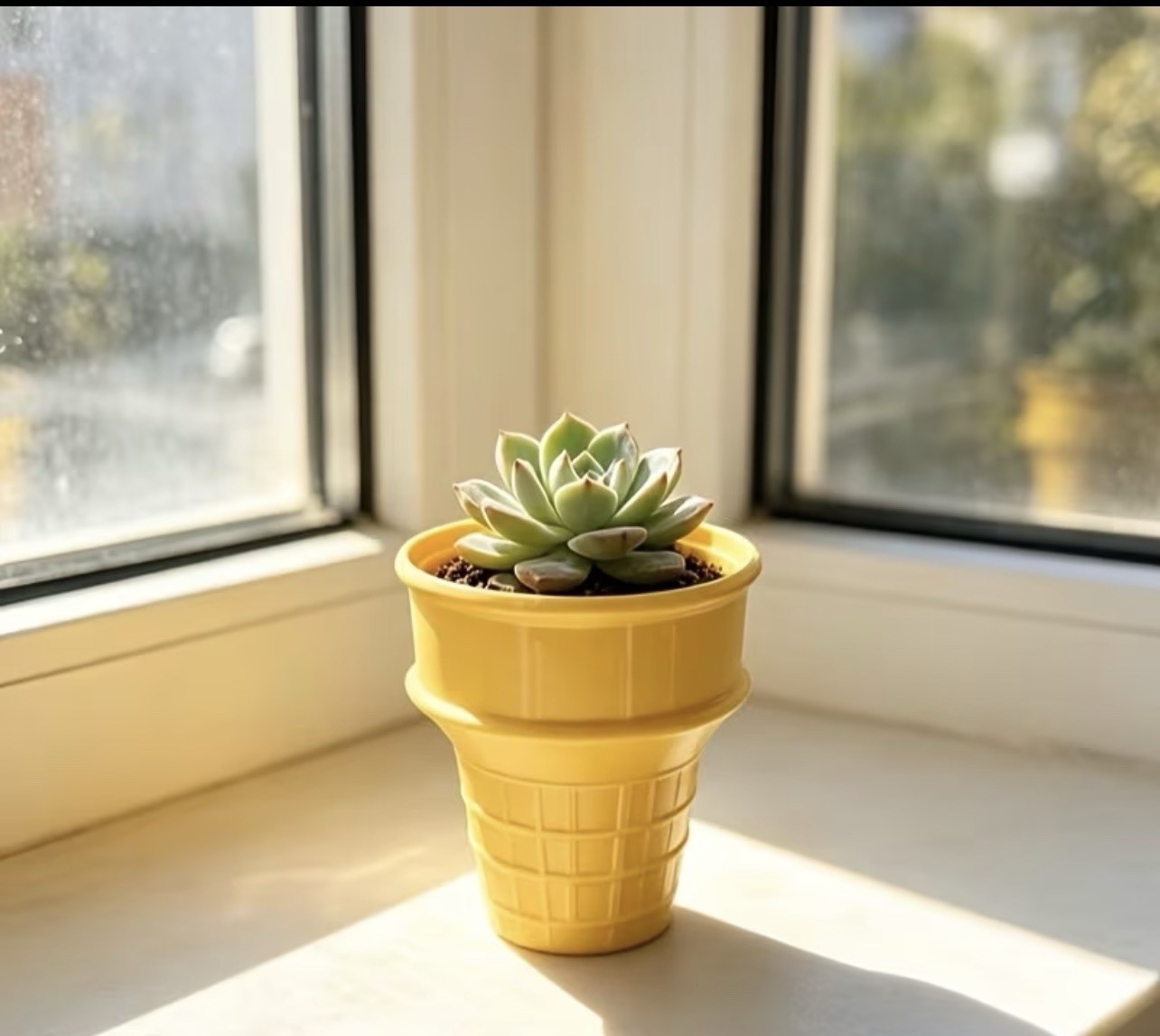 Pretty, Whimsical, Planter With Live Succulent Included