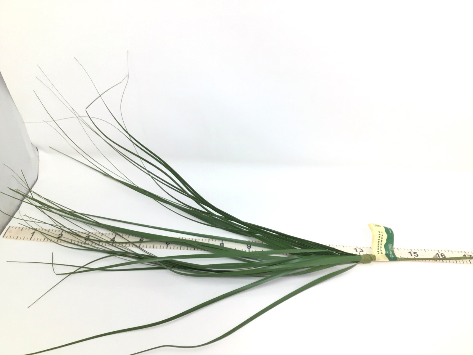 Onion Grass Floral Pick Green 2 Flocked Picks 26” 1 Pick 22” Lot Of 3 Vintage