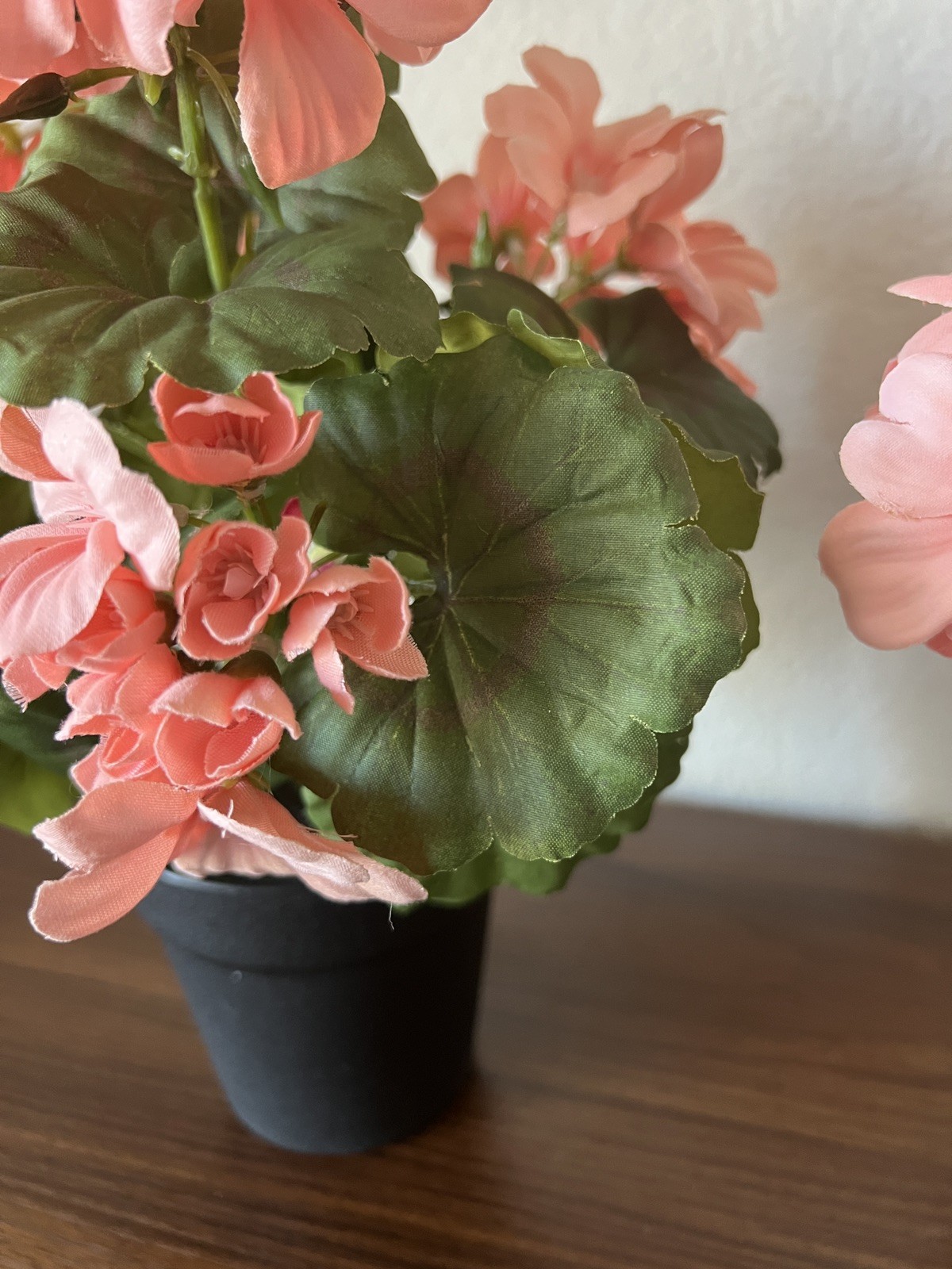 SET OF (2) 13″ GERANIUM POTTED PLANTS IN PEACH BY VALERIE PARR HILL Item H451619