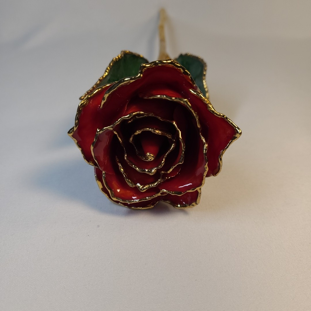 Lacquer Dipped Gold Trim Red Rose 11 in