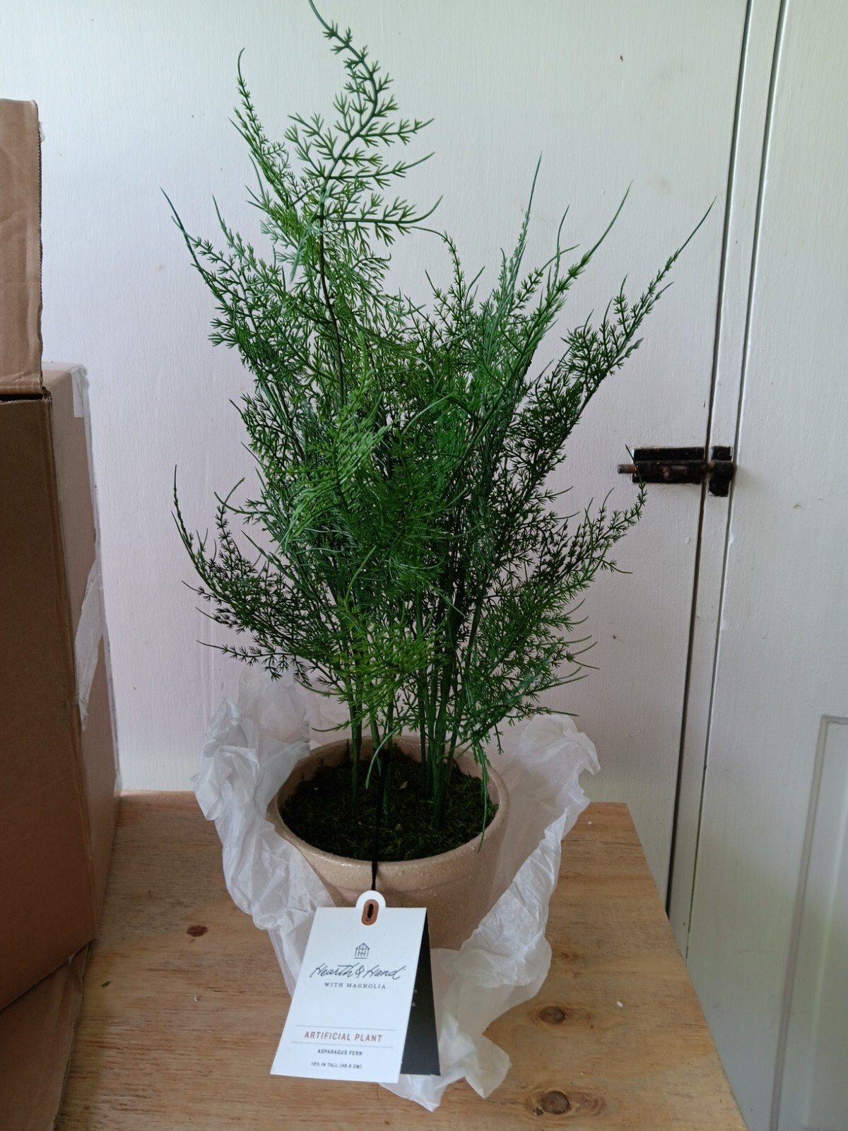 4 Hearth and Hand with Magnolia Artificial Faux Potted Plants Asparagus Ferns