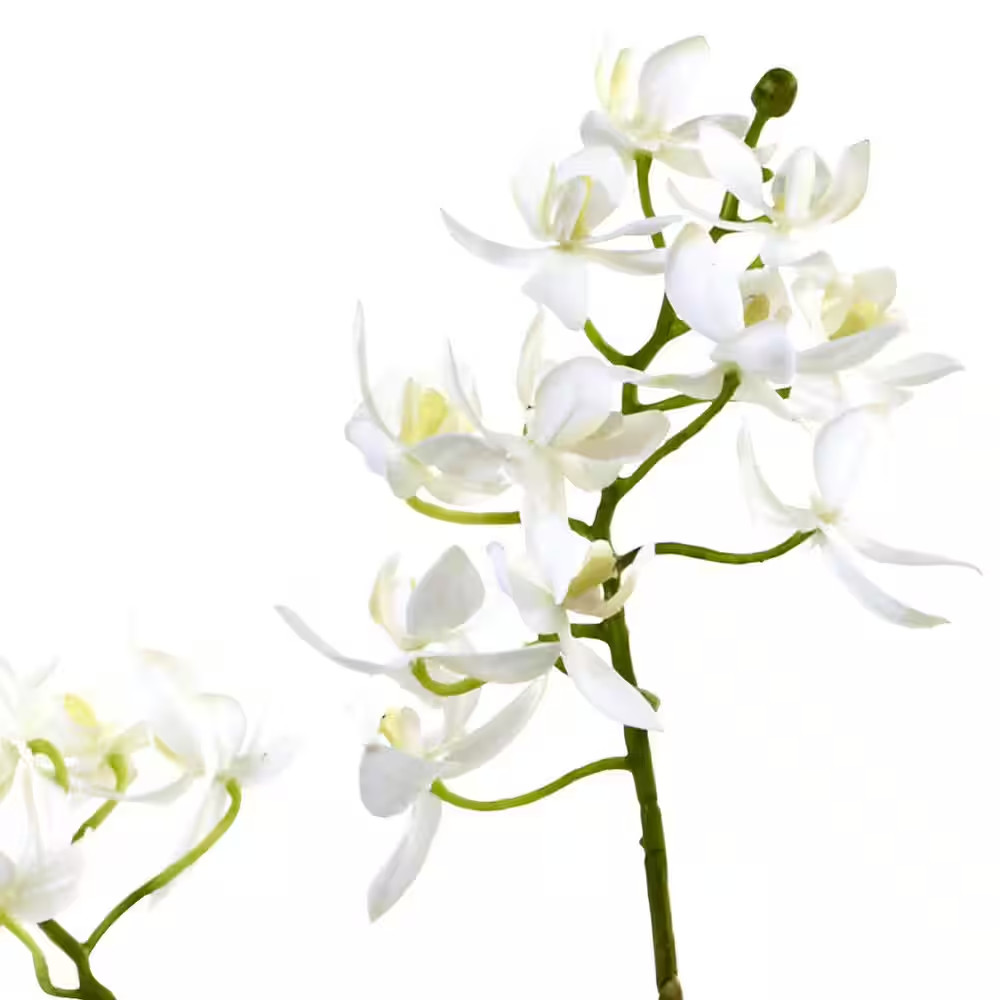Artificial Orchid and Succulent Garden with Driftwood and Decorative Vase