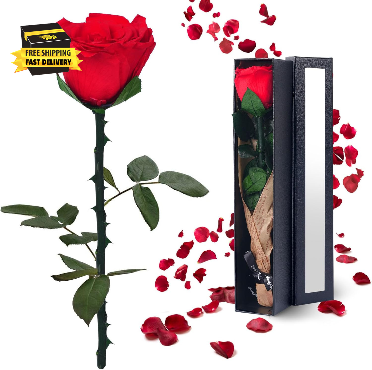 Preserved Flowers Gifts for Women: Valentines Day Mothers Day Birthday Christmas
