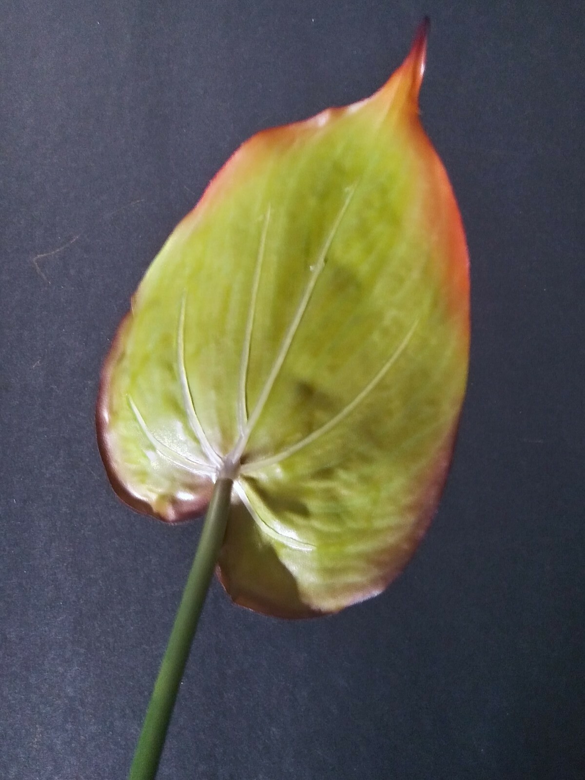 22″ Anthurium stem. Silk flower floral arrangements tropical Hawaiian flowers