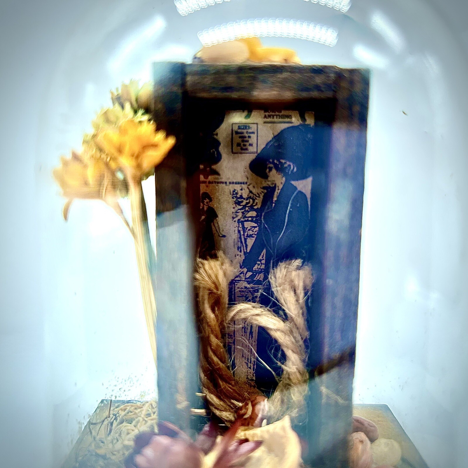 Vintage Leonard Creations California Glass Dome Cloche Dried Flowers Shadow box