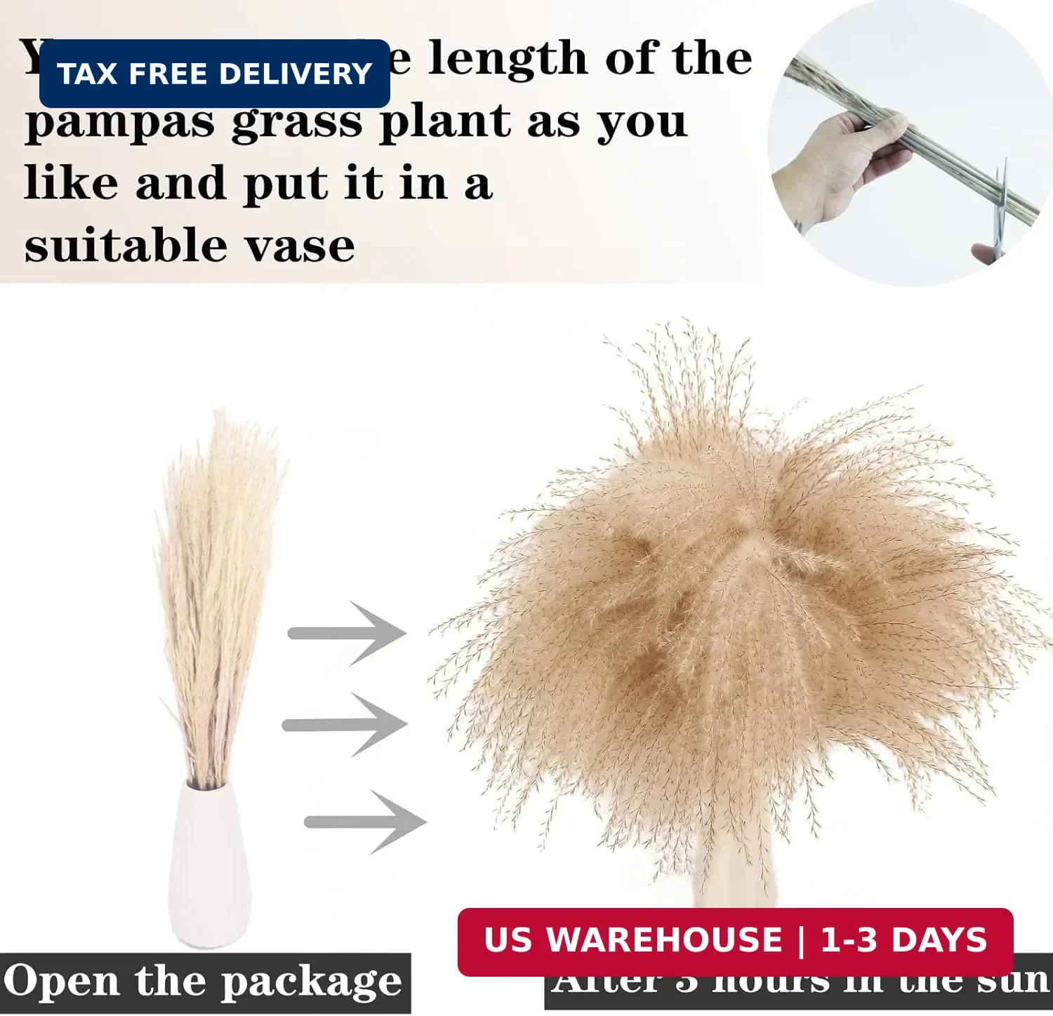 300 PCS Dried Flower Bouquet – Pampas Grass, Floral Decor for Home, Wedding, and