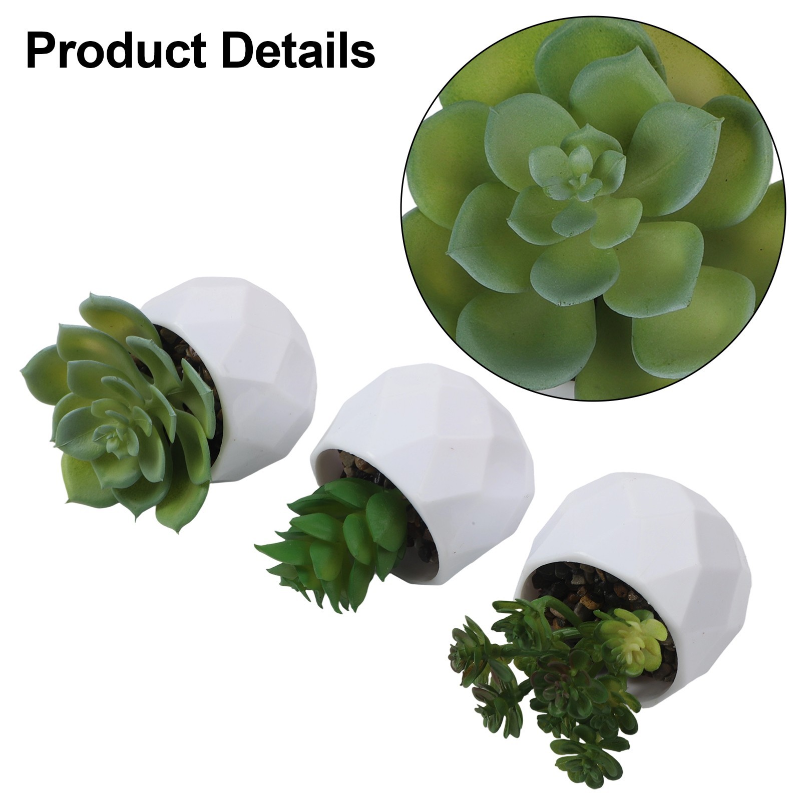 3pcs Elegant Artificial Succulent Plants for For home and Office Display
