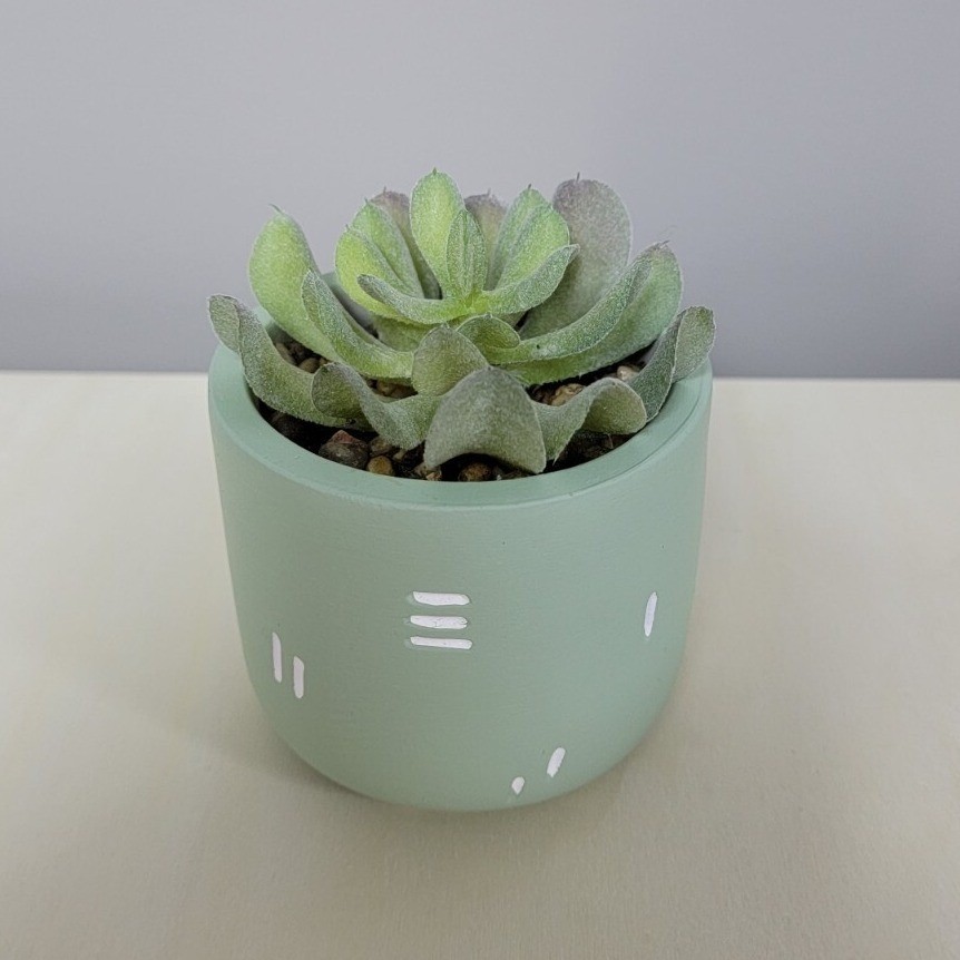 DerRose 4 Pack Artificial Succulents in Sage Green Ceramic Pots Faux Mini Plants