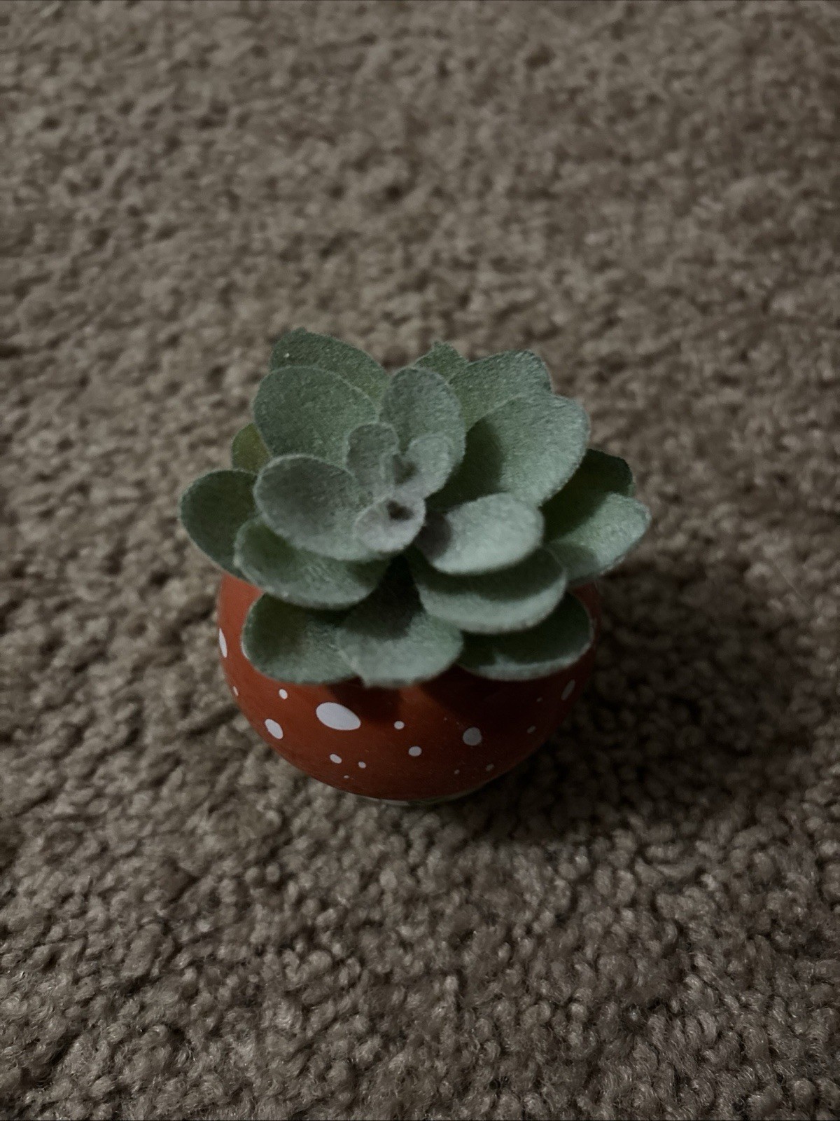 Mushroom Succulent Desk Plant Home Office Decor
