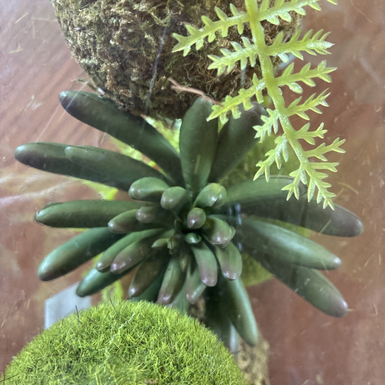 Box Of Artificial Floral Decorations Succulents, Ferns And Moss Balls By Ashland