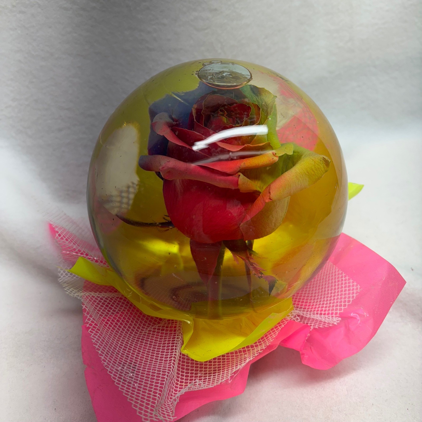 Four Brothers Farms Assorted Rose Globe Resin Preserved Rainbow Flower