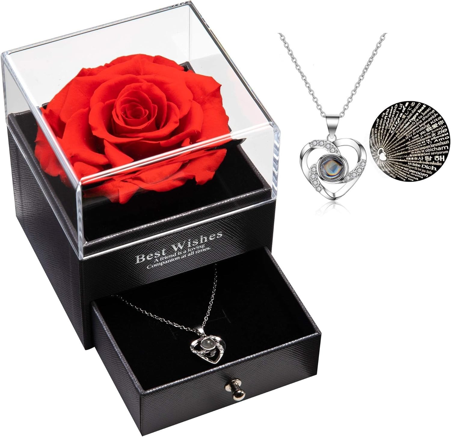 Preserved Real Rose with I Love You Necklace 100 Languages – Eternal Preserve…