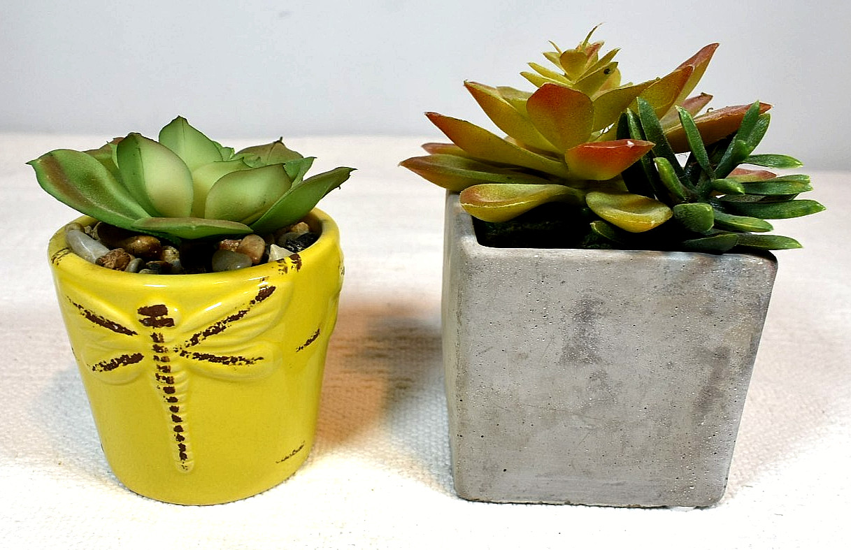 Echeveria & Echeveria/Jade Mix ARTIFICIAL SUCCULENT PLANTS, Set of 2 In Pots