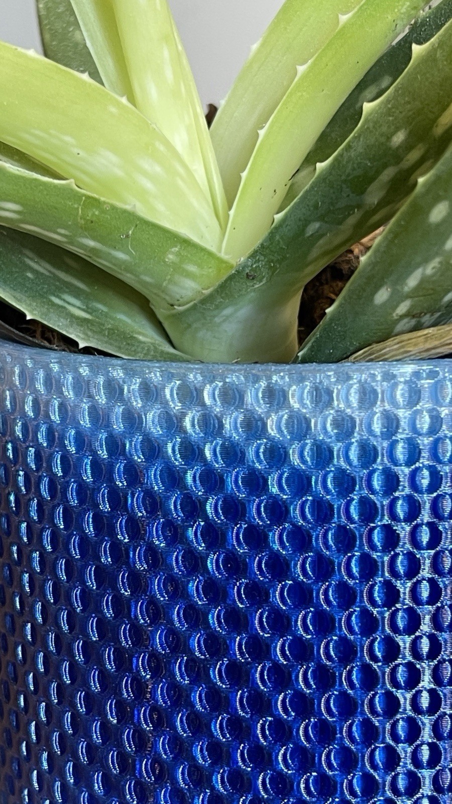 Succulent/planter indoor wall mounted – custom 3D printed