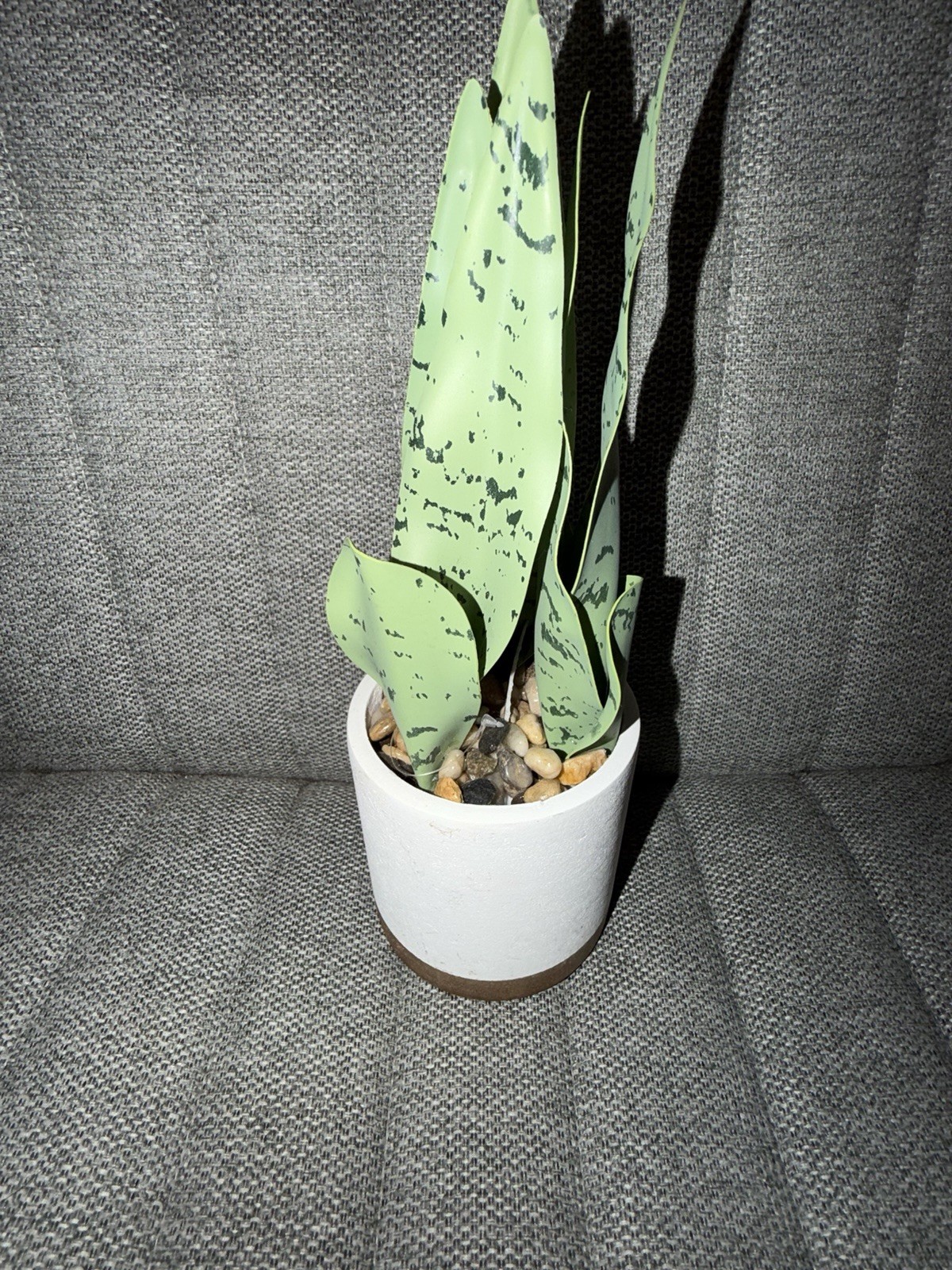 Artificial Variegated Snake Plant in White Pot | Faux Indoor Houseplant Decor