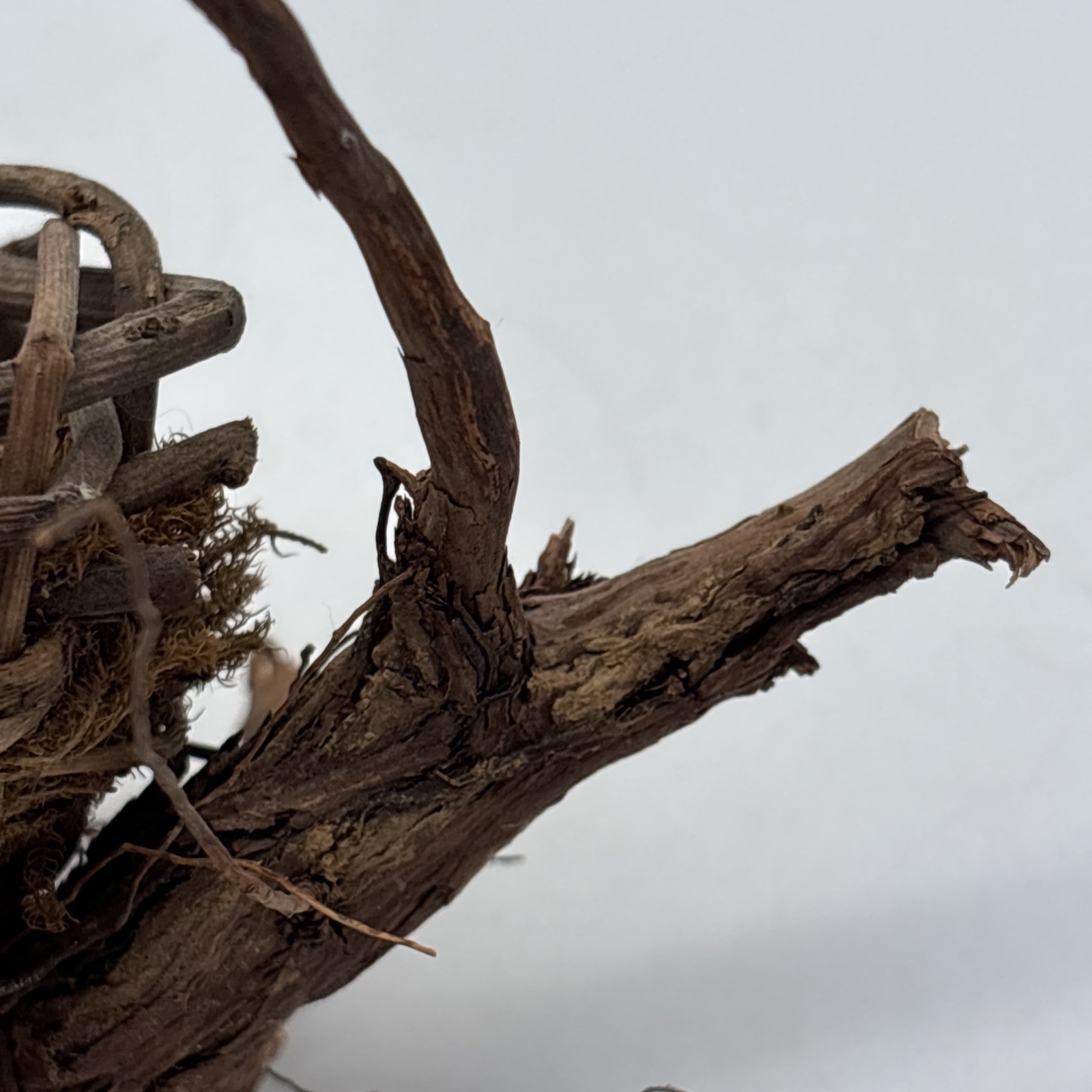 Bird nest Garden decorations, home, floral accent, crafts, center piece