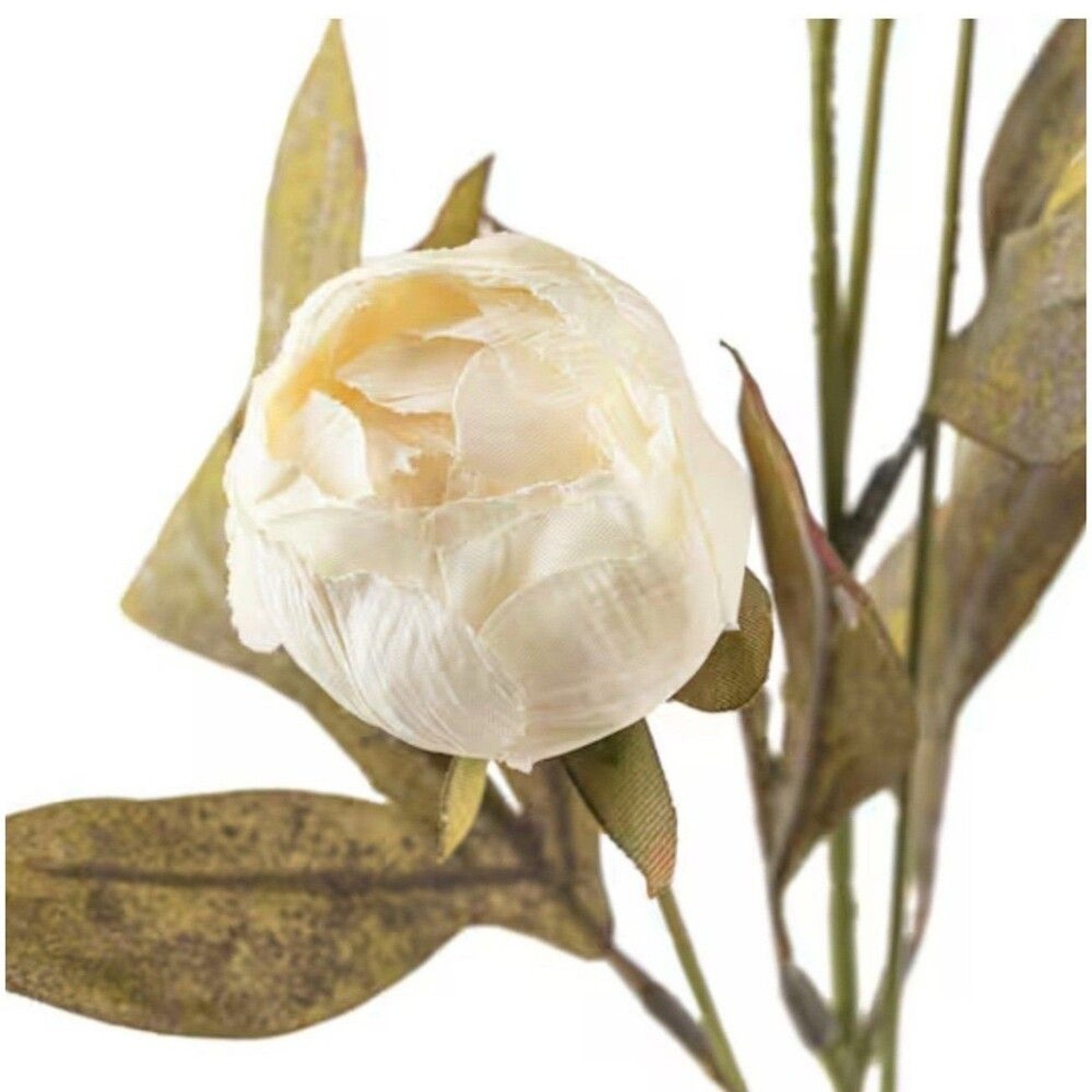 Viral Ashland Cream Peony Stem Michael’s- Set of 5