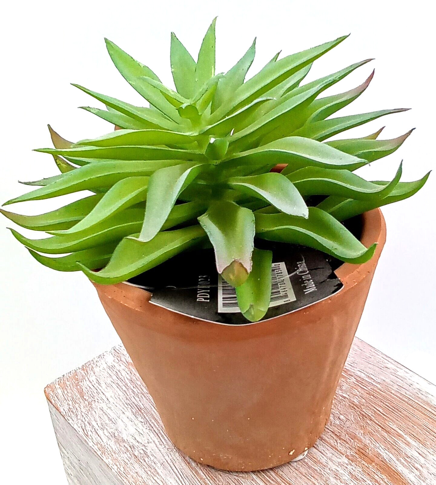 Succulent Clay Pot Planter Artificial Faux Dirt Plastic Green Floral Indoor 6″