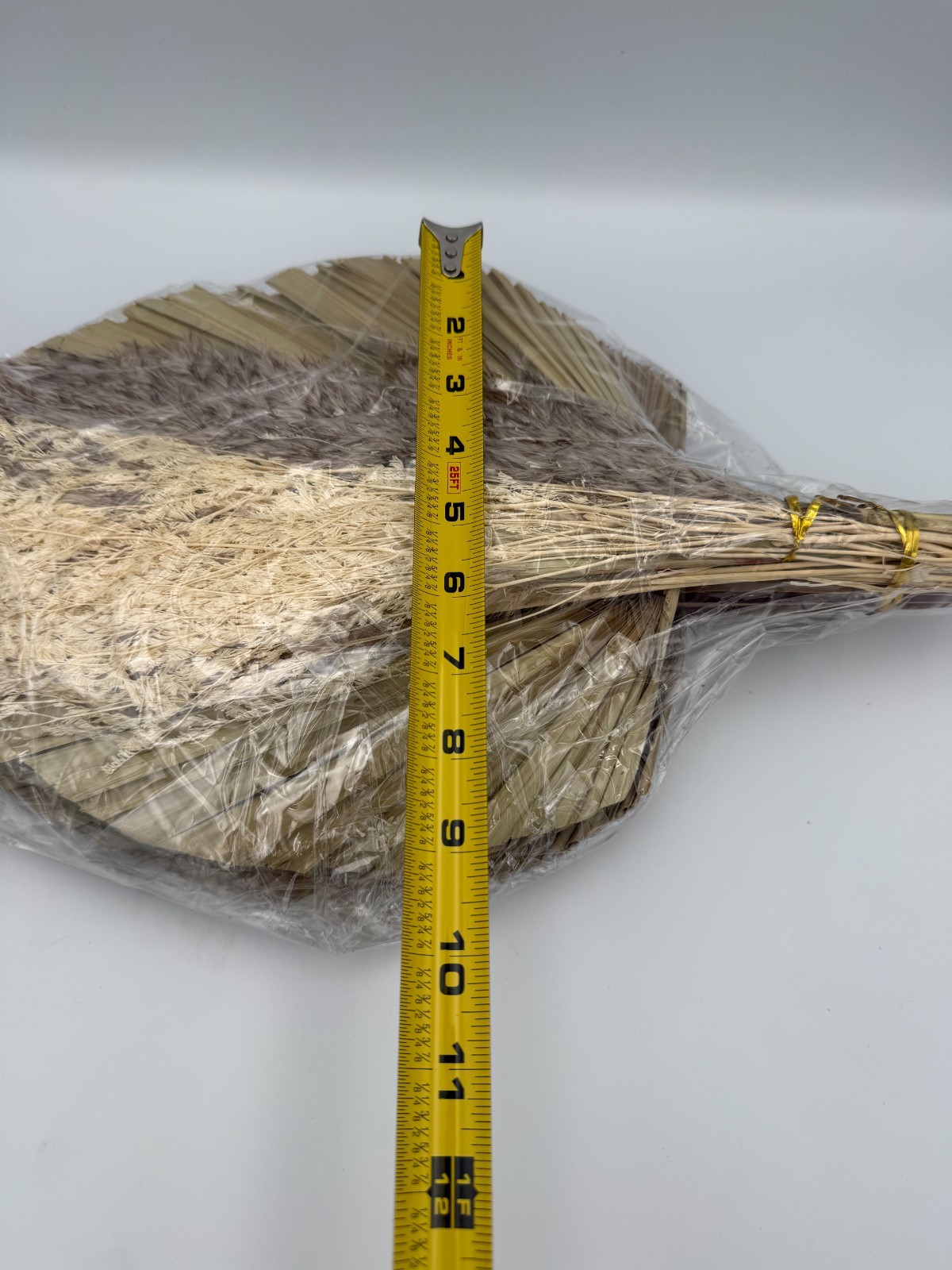Dried Palm Leaves Fan Wall Decor Kit Natural Ornamental Grass Stems 16-17 in