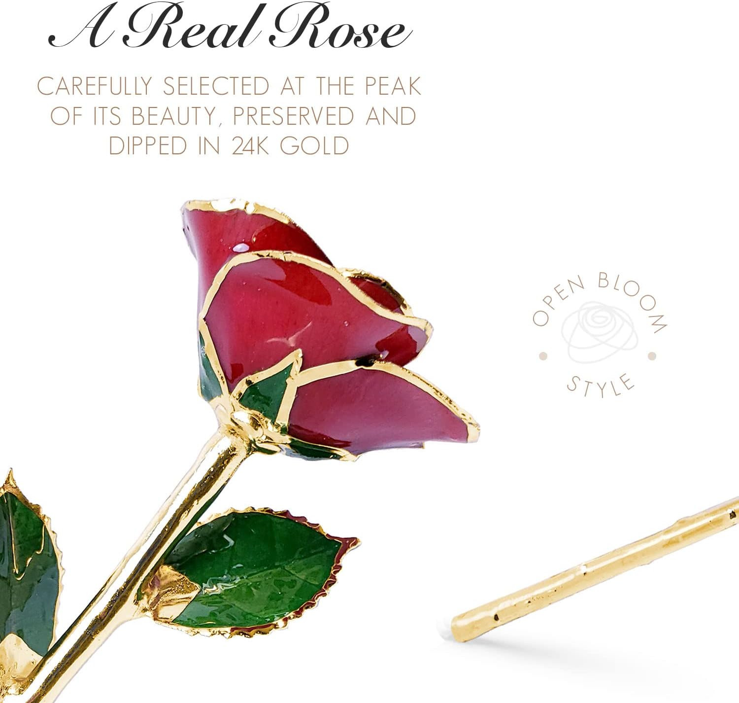 Bloomed, Beautiful 24K Gold Dipped Red Rose That Lasts Forever, 24K Gold Dipped