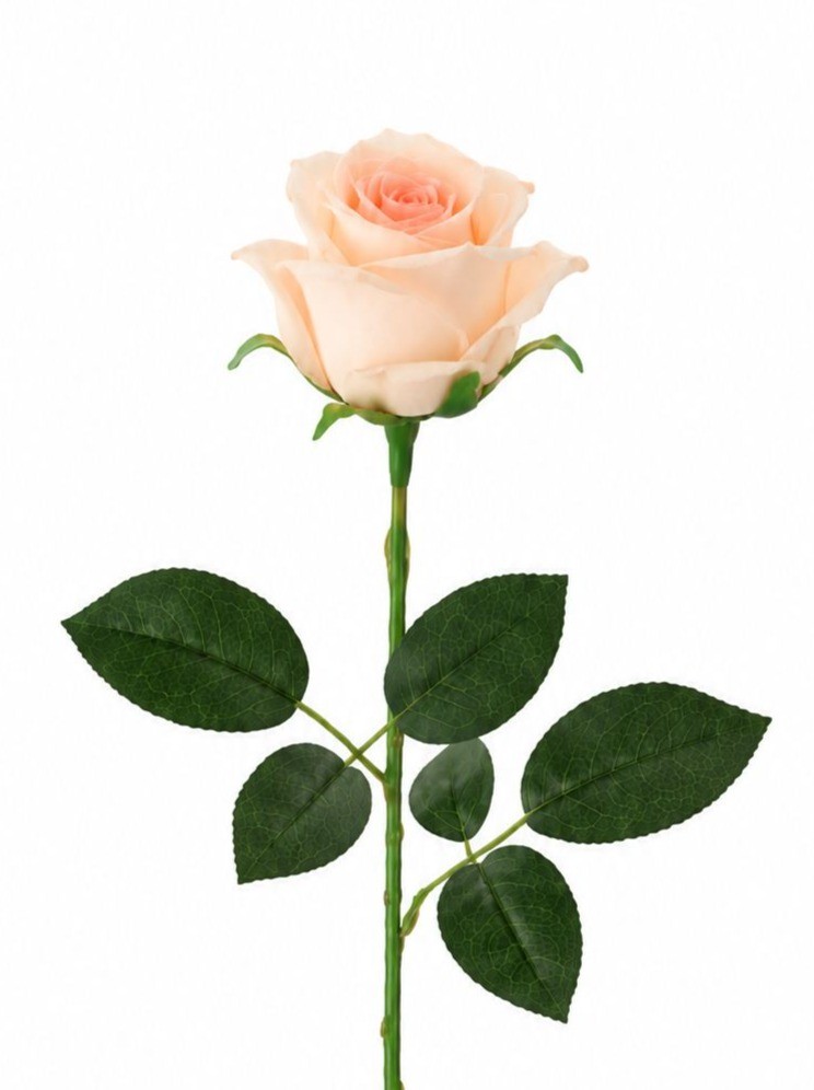 Set of 8 Artificial Peach Rose Stems 20 Inch Faux Roses Soft Peach Wedding Flowe
