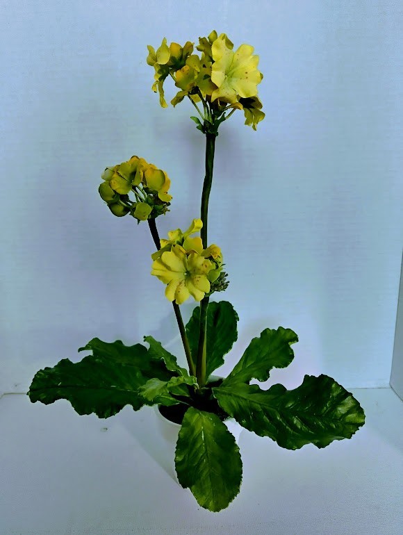 Artificial mini wild geranium plant silk flower arrangements