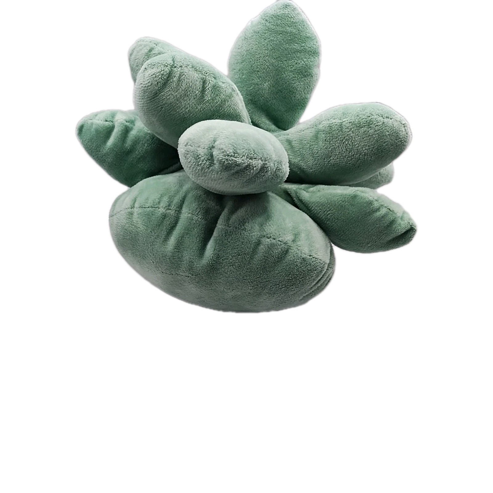 Plush Succulent Plant Med Size