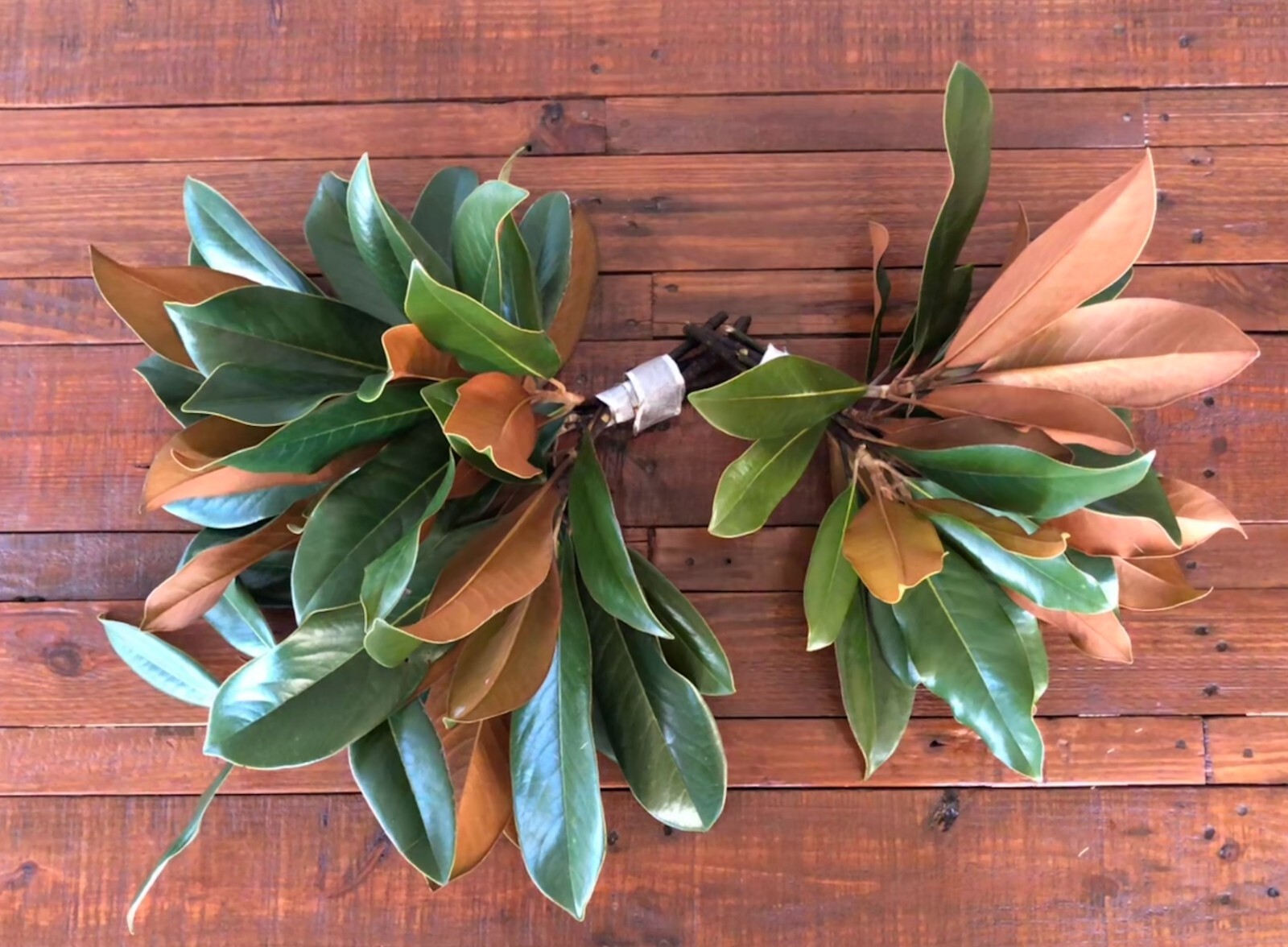 Fresh Magnolia Leaves for Wedding Decor, Table Centerpiece, Wreaths
