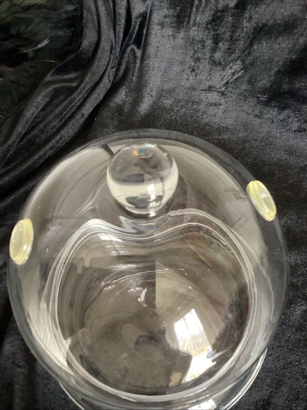7×7 inches Glass Cloche and Base Small Terrarium with 2 Air Holes Display Case