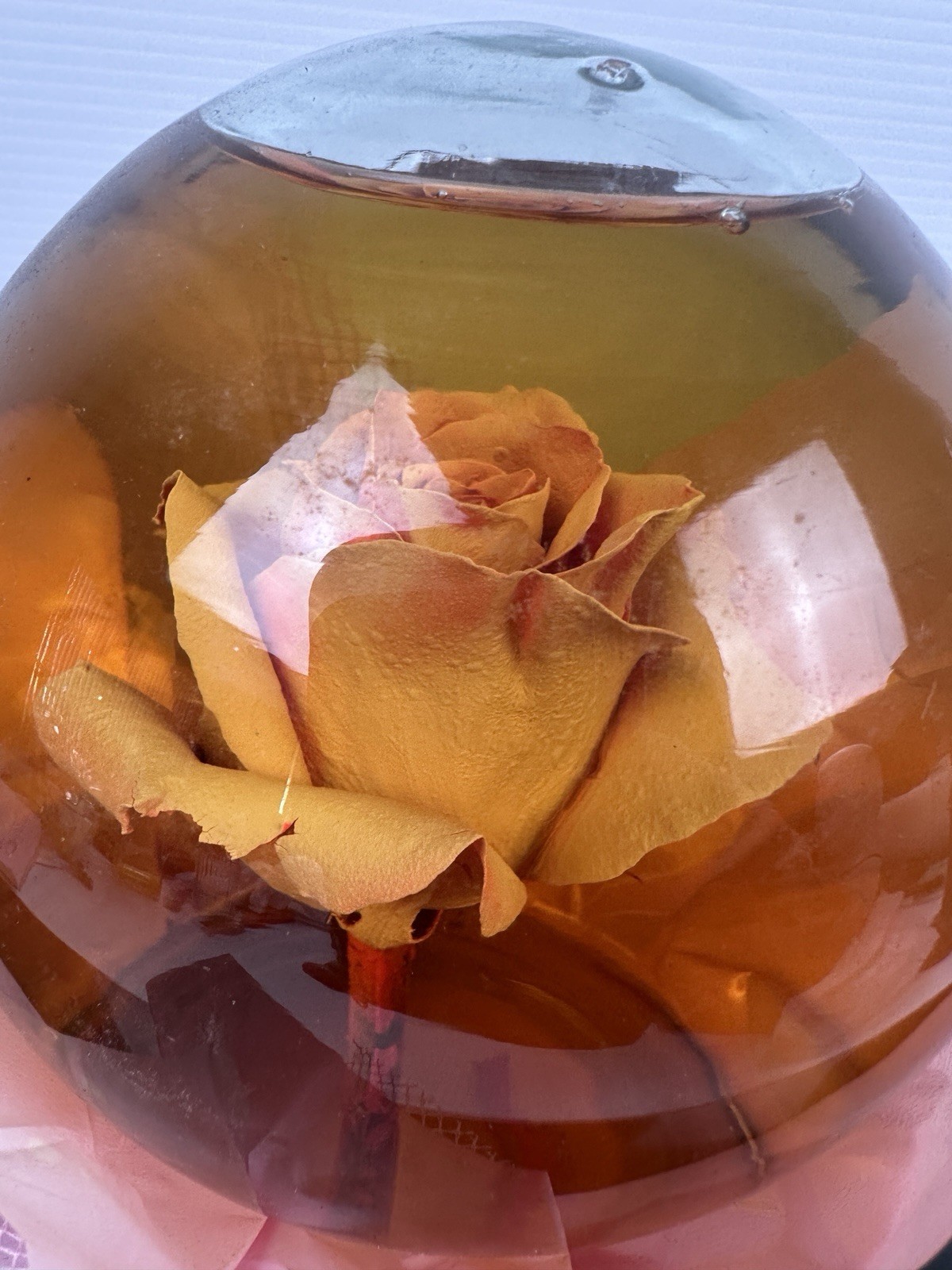 Preserved Rose Glass Dome Water Globe Floral Ornament Decor Flower Display