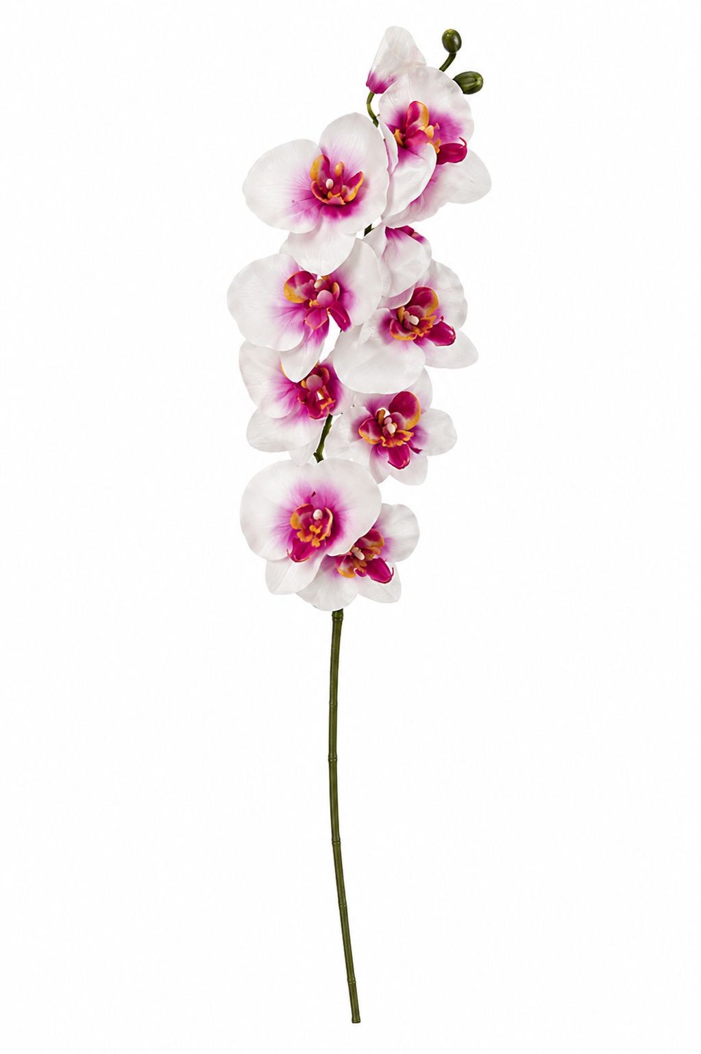 Artificial Silk White Orchid Stem 25 Inch Faux Phalaenopsis Flower Wedding Decor