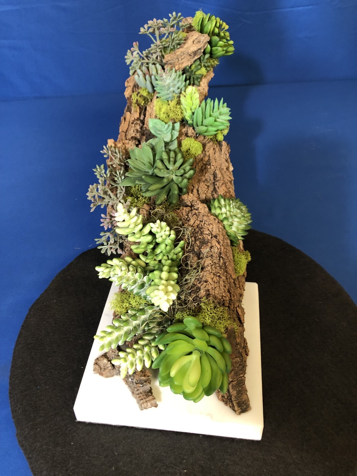 Artificial Succulent Air Plant Home Office Mounted on Real Wood Bark and Stone