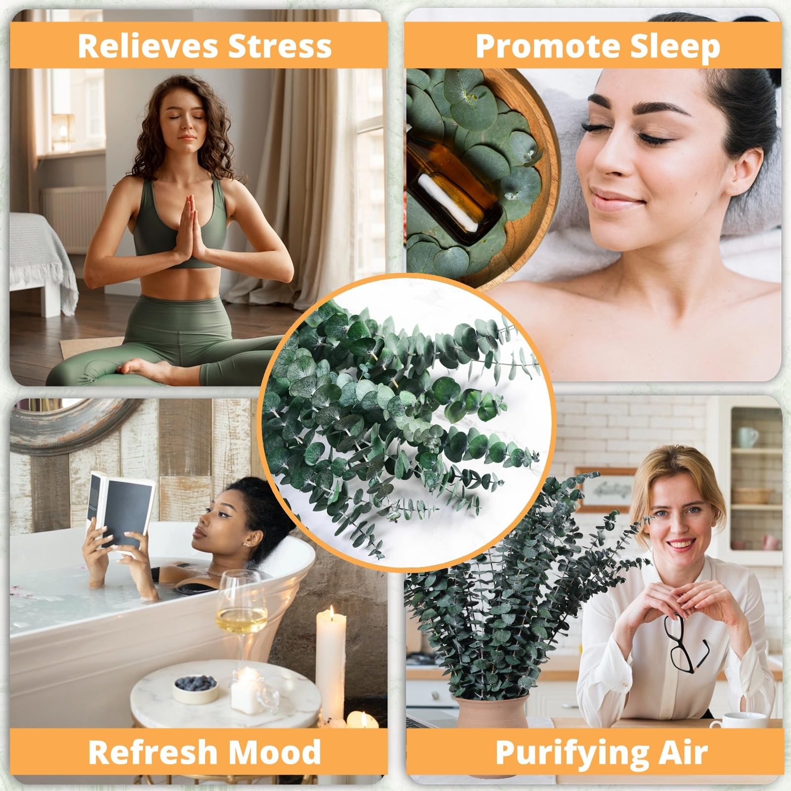12PCS Dried Eucalyptus for Shower Hanging 17” Real Large Preserved Eucalyptus