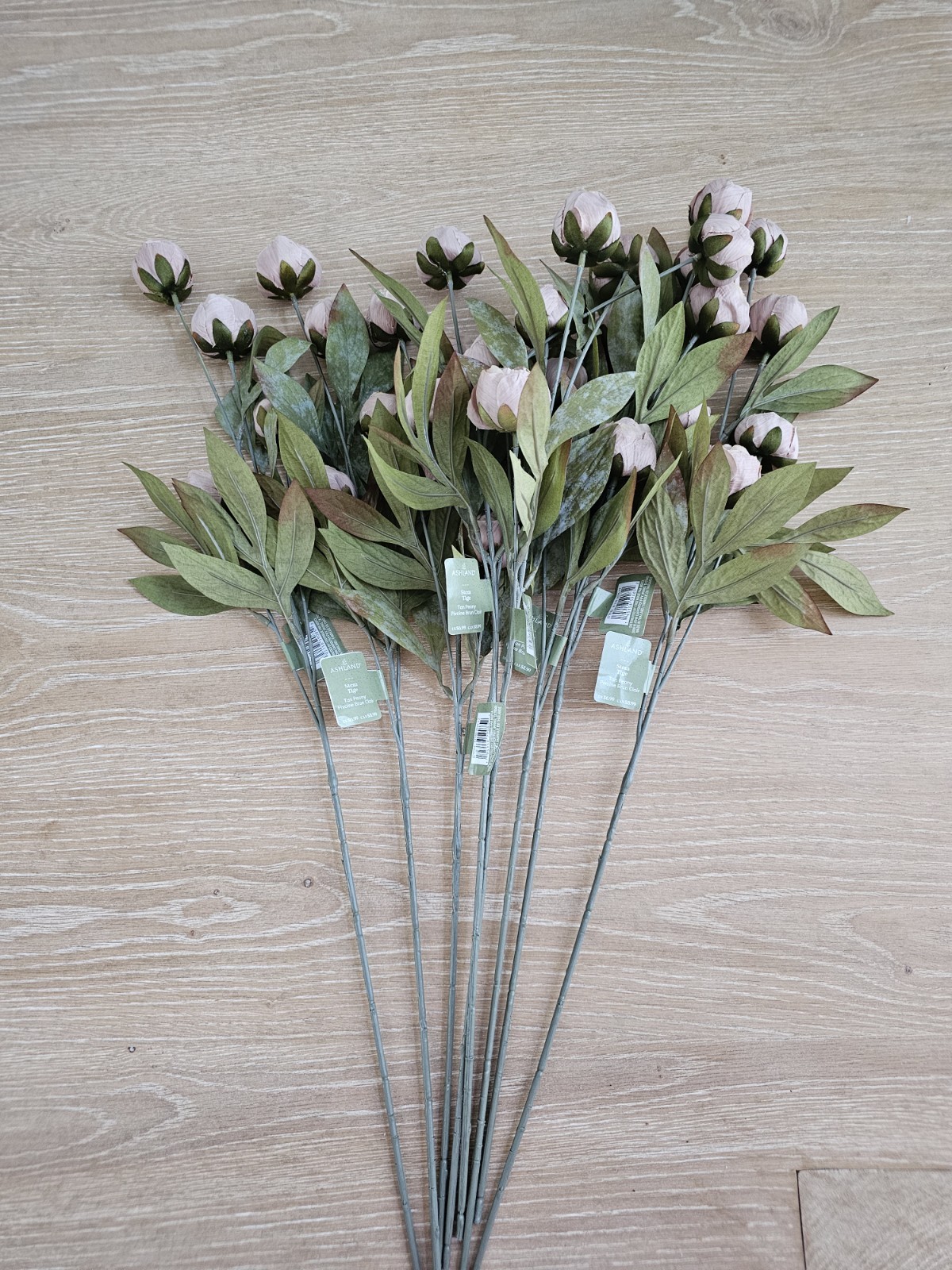 🔥 New in Box 8 Ashland Tan Peony 28″ Stems Michael’s Store VIRAL RARE!