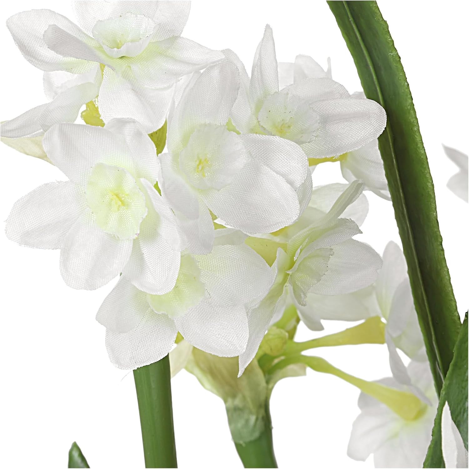 Lacey Daffodil Accent Arrangement – 17″ Tall Floral Decor