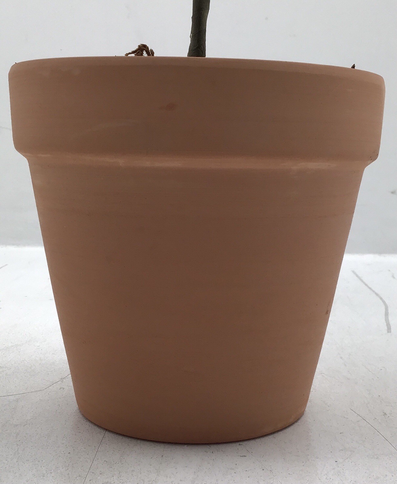 Transpac Faux Lemon Tree in Terracotta Pot Tabletop Plant 20 Inches Tall