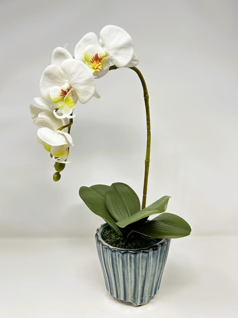 16″ Lg WHITE Phalaenopsis ORCHID silk flower planter, 4″ Blue ceramic footed pot