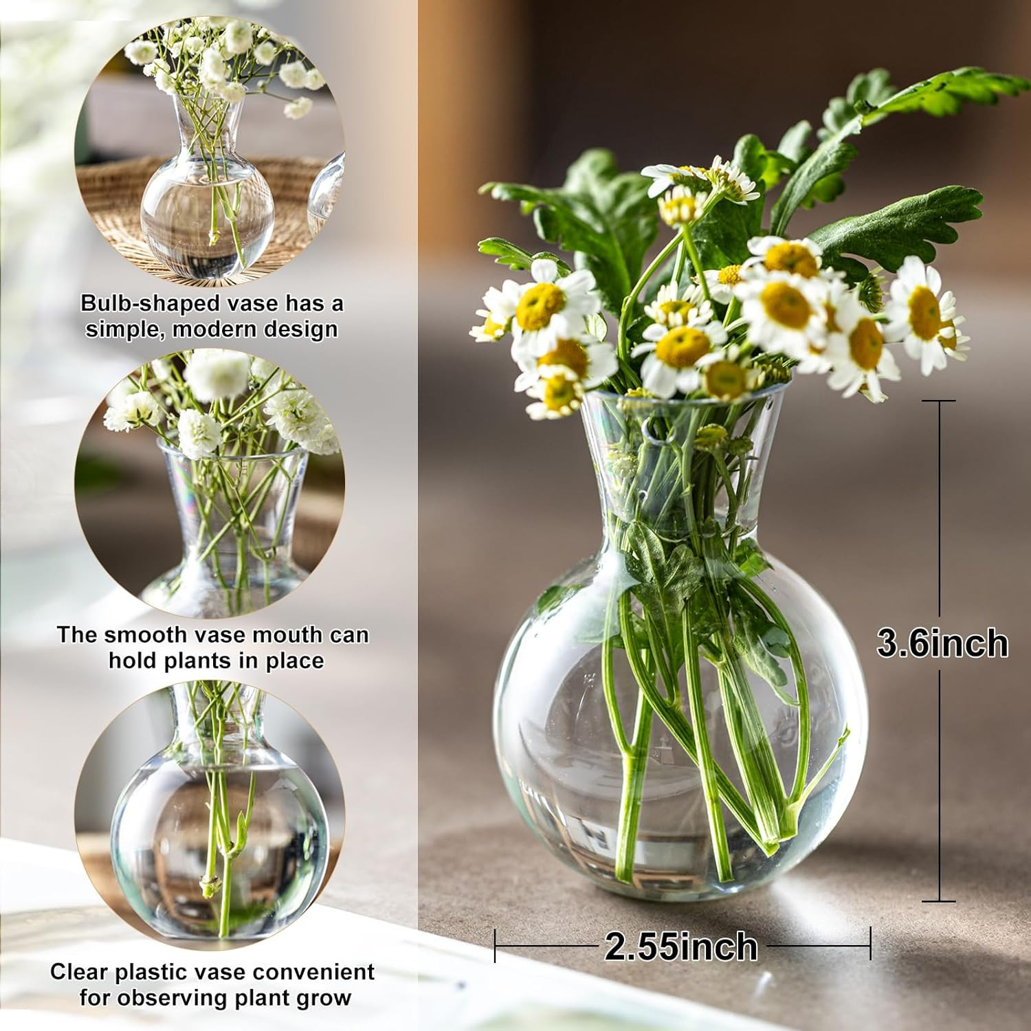 Plastic Propagation Vases (4 Bulbs),Desktop Plant Terrarium for Indoor Plants –