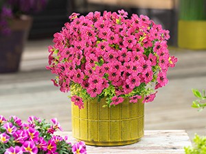 Artificial Flowers for Outdoors, 18 Bundles Artificial Plants & Flowers Outdoor,
