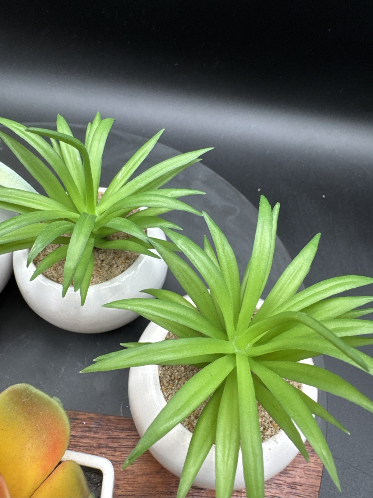 Faux Succulent Plant Set Desk – Realistic Coastal Western Scandi Boho Lot Of 5