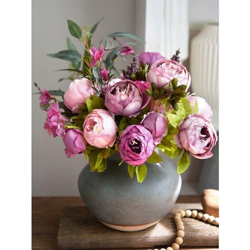 Soft Peach Pink and Magenta Celestial Beauty (Soft Peach Pink and Magenta Red)
