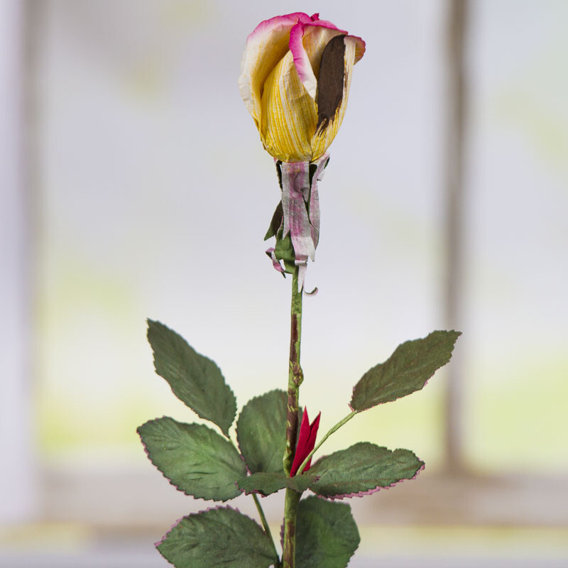 Dried Cream and Pink Artificial Rosebud Stem Flowers
